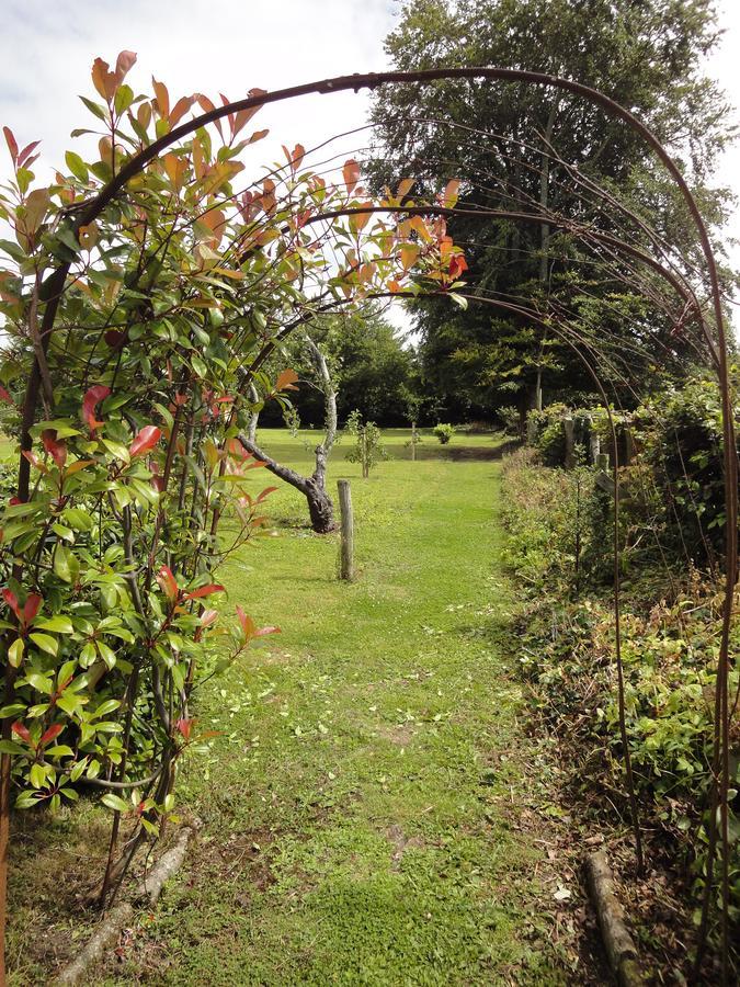 Glendine House Kilkenny Bed & Breakfast Ngoại thất bức ảnh